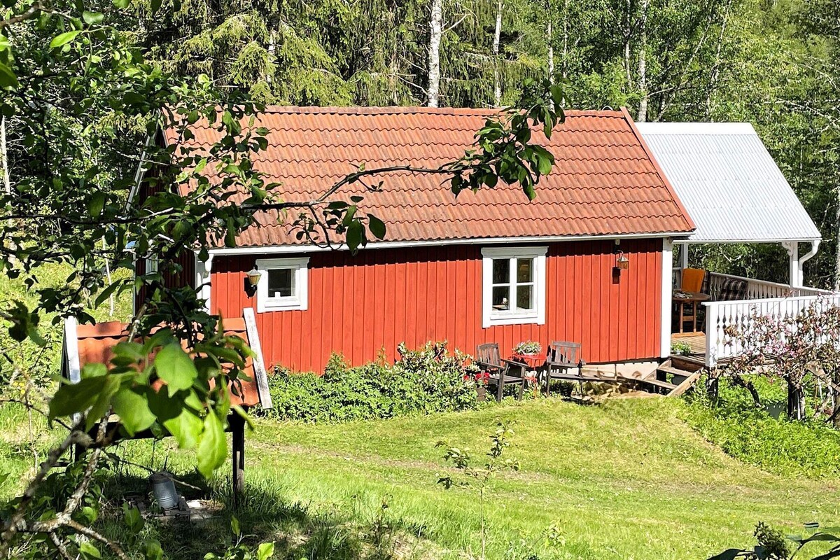 Värdens profilbild