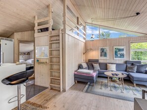 تلفزيون، مدفأة