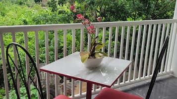 Basic szoba | Terasz/udvar