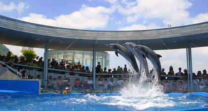 Sunshine City, ideal for families and groups, rare TOWNHOUSE