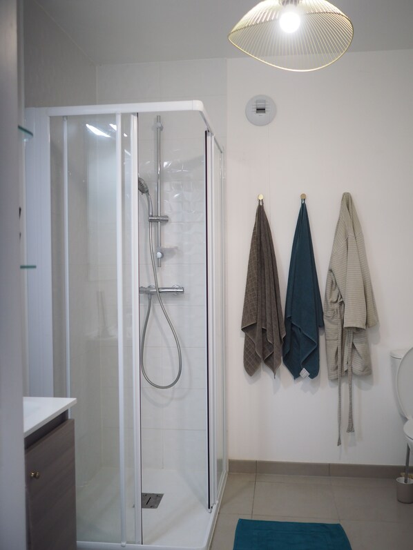 Douche, séchoir à cheveux, serviettes fournies, savon