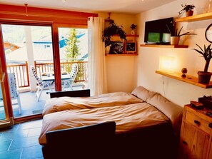 1 soverom og internettilgang