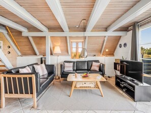 TV, fireplace, DVD player