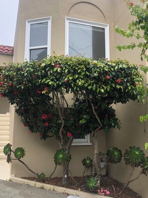 Exterior detail - Quiet, Cat-Enabled Paradise in the Heart of San Francisco (San Francisco)