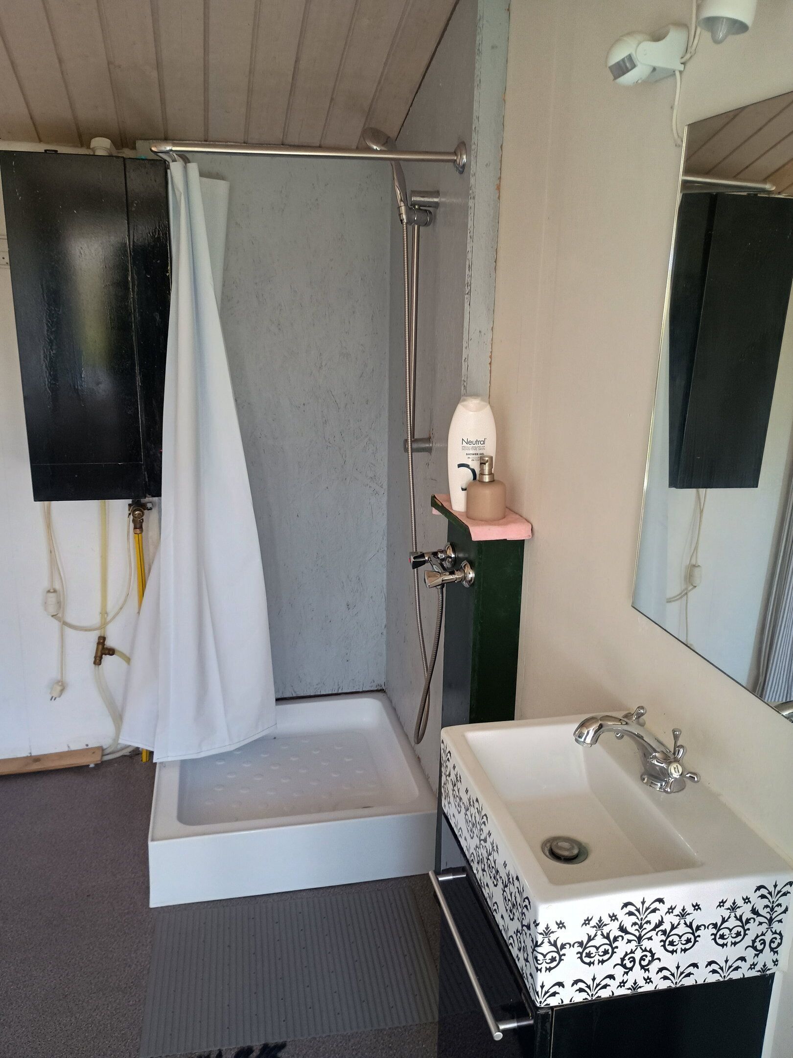 Shower, hair dryer