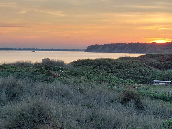 Un paysage côtier avec un banc, des zones herbeuses et une étendue d’eau.