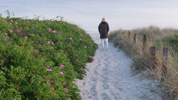 A sandy path leading to the sea with a person walking away, surrounded by greenery and a wooden fence. - Well-located holiday home in Ristinge, Langeland (Humble)