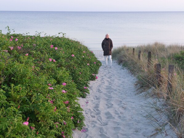 A sandy path leading to the sea with a person walking away, surrounded by greenery and a wooden fence.