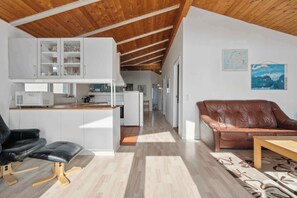 DVD player, stereo - Pool house close to the coast (Vestervig)