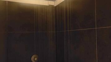 Douche, baignoire à jets, sèche-cheveux, serviettes fournies