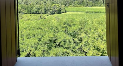 Spacious country house, perfect for bike rides and vineyard visits.