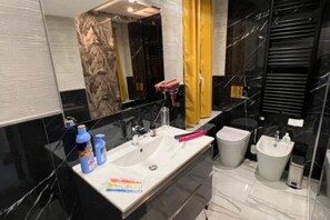 Shower, hair dryer, bidet, towels