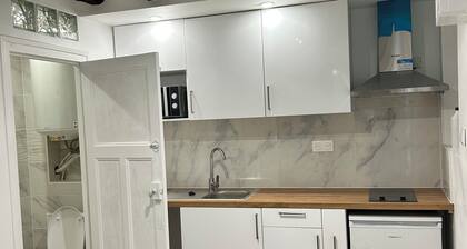 Beautiful F2 Downtown Massy with garden