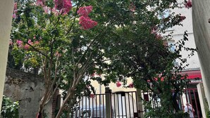 Un callejón estrecho con un árbol que tiene flores rosadas, una reja metálica y un edificio con toldo rojo al fondo.