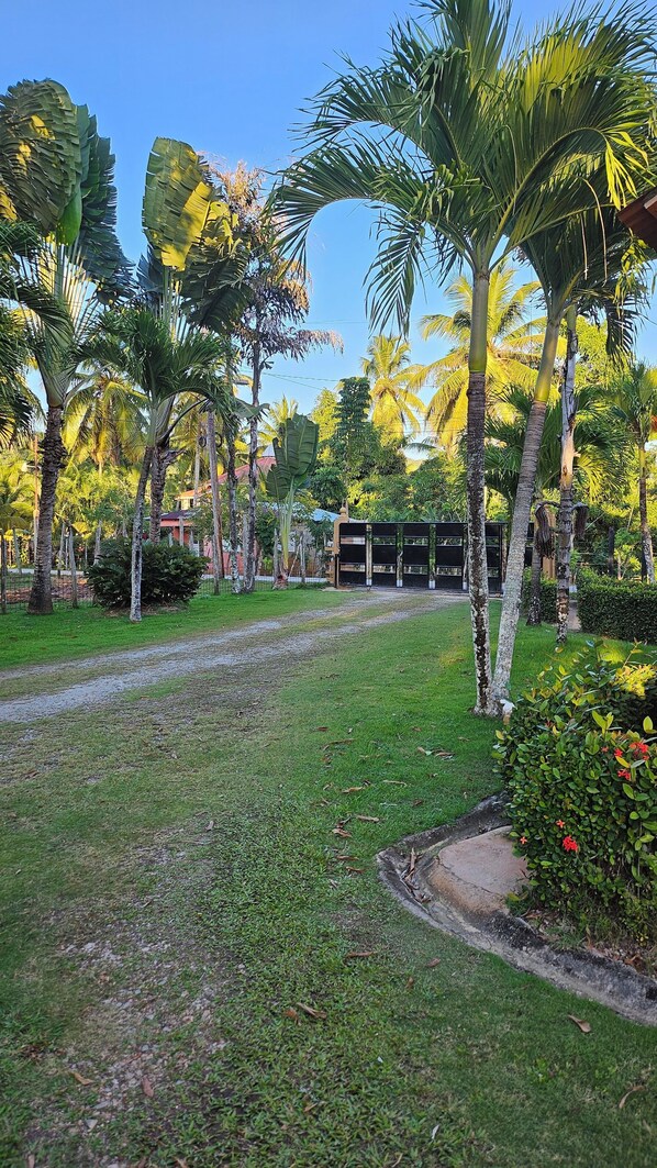 Property grounds - 4 Bdrm/3 bath Villa AC/Wi-Fi/Cable/
Gazebo/BBQ/up to 15 ppl (Las Garitas)