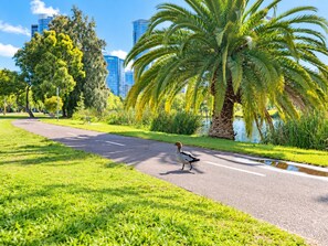 A park with a paved path, palm trees, and a body of water.