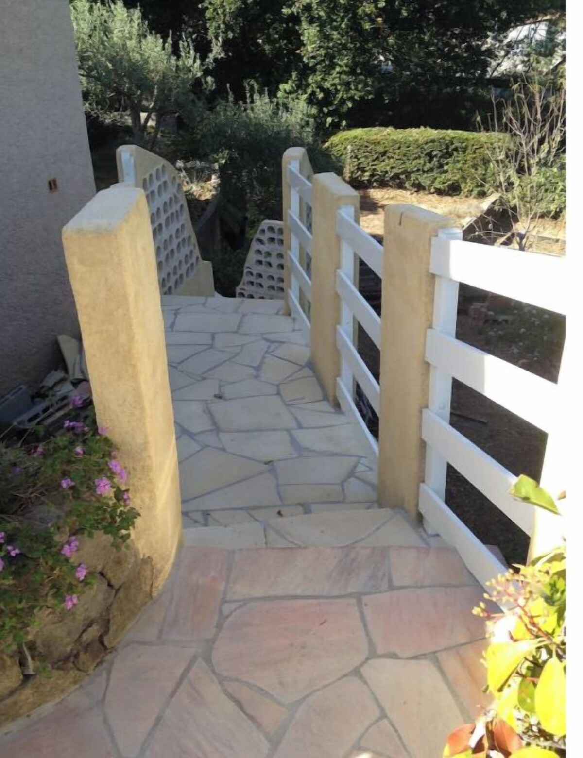 Imagen de perfil del propietario o de la propietaria