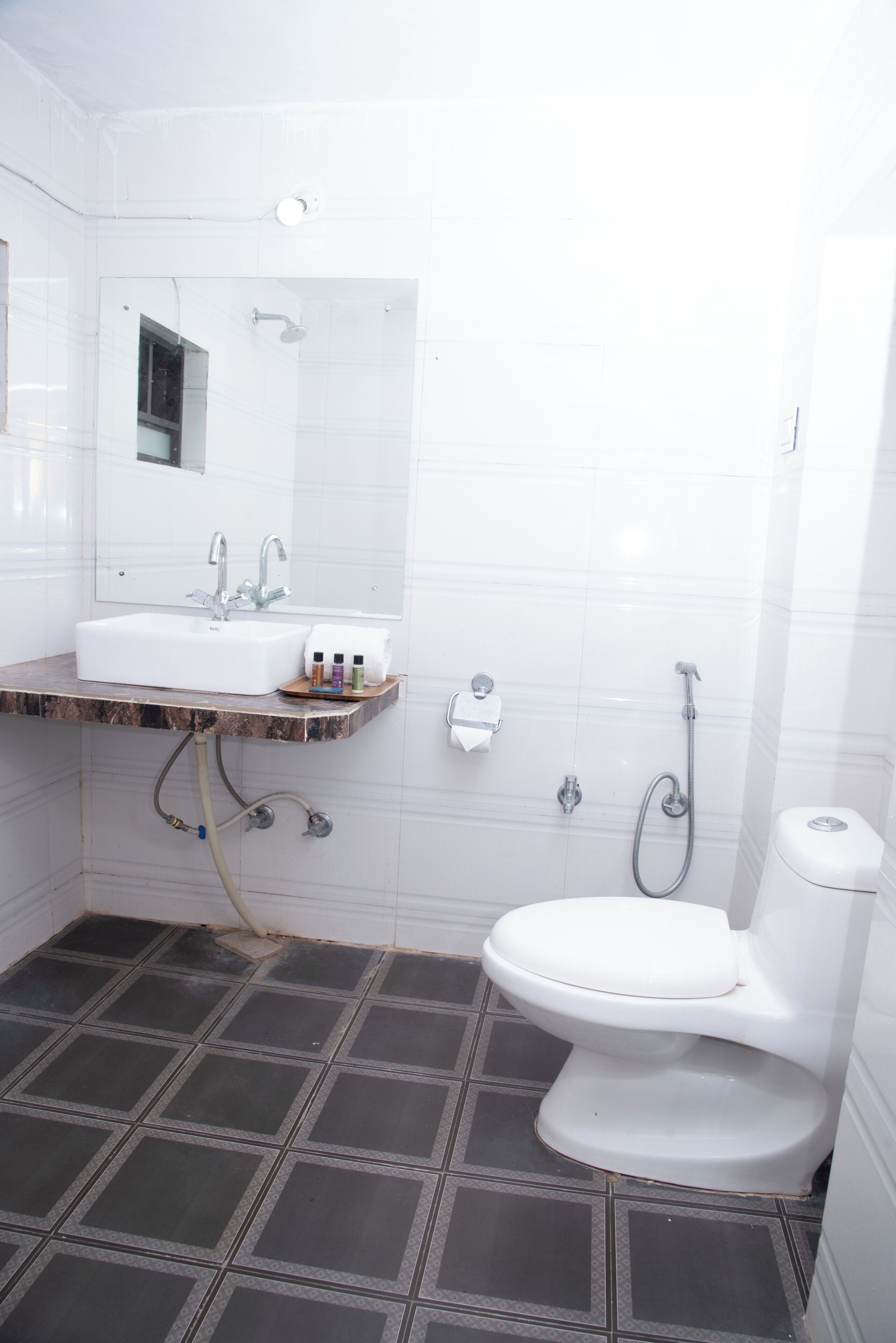 Ducha, cabezal de ducha con hidromasaje, bidet, toallas