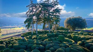 A landscaped garden with neatly trimmed hedges and a variety of trees. - LA BAYARDINE (Sarlat-la-Canéda)