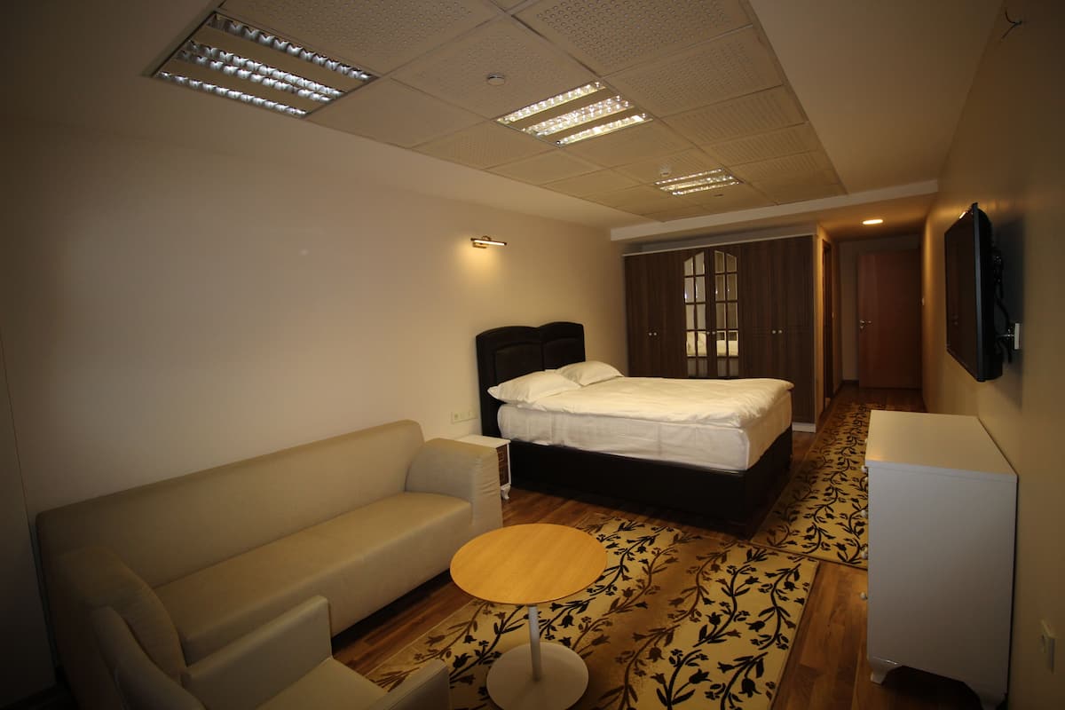 Standard Double Room Single Use | Desk, laptop workspace, iron/ironing board, free WiFi