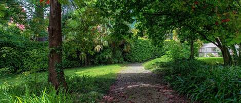 A pathway through a lush garden with trees and dense foliage.