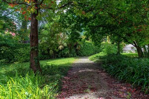 Jardim