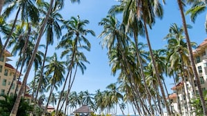 Unclassified image, 3 of 28, button - Beachfront 2BR Condo - Pool - Blue Flag Beach (Nuevo Nayarit)