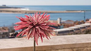A single pink flower on a balcony with a coastal view. - Liiiving in Porto Sea River View Apartment (Porto)
