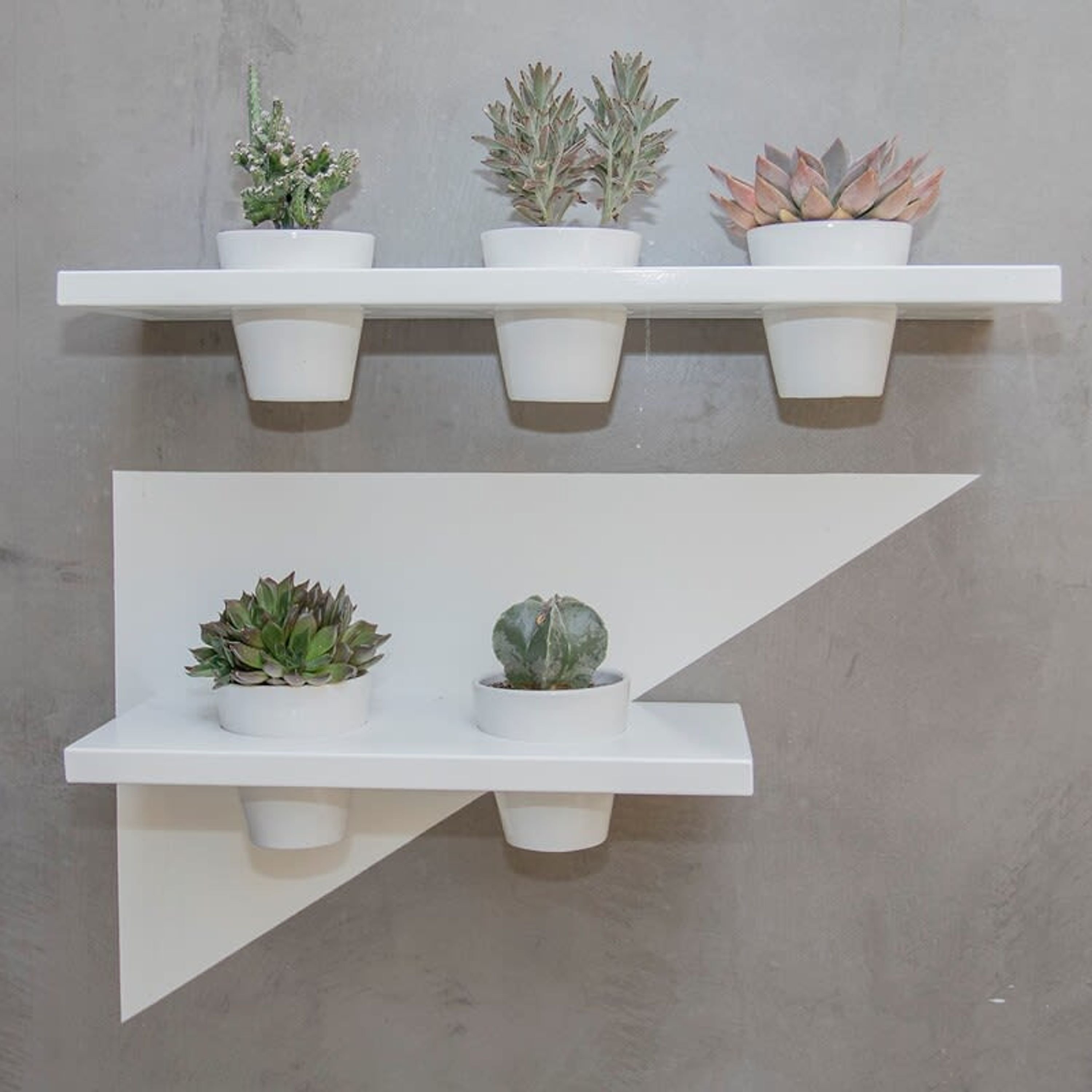 Two white shelves with potted plants against a grey wall.