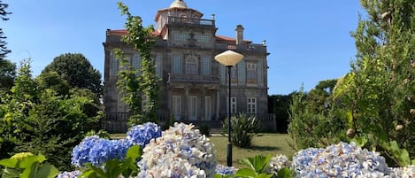 Appartement | 1 chambre, Internet