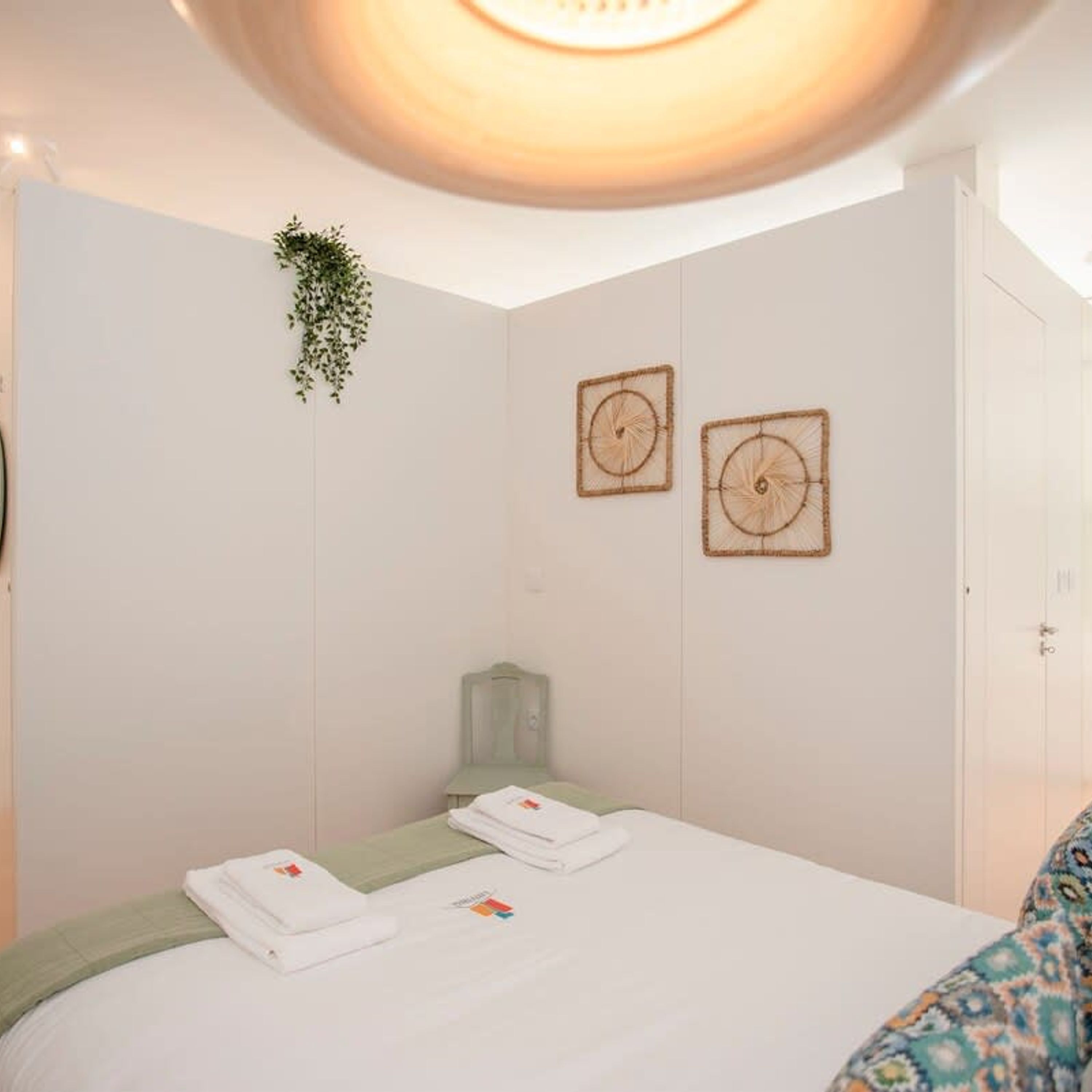 A hotel room with a bed, a bedside table, a hanging plant, and two wall-mounted decorative items.