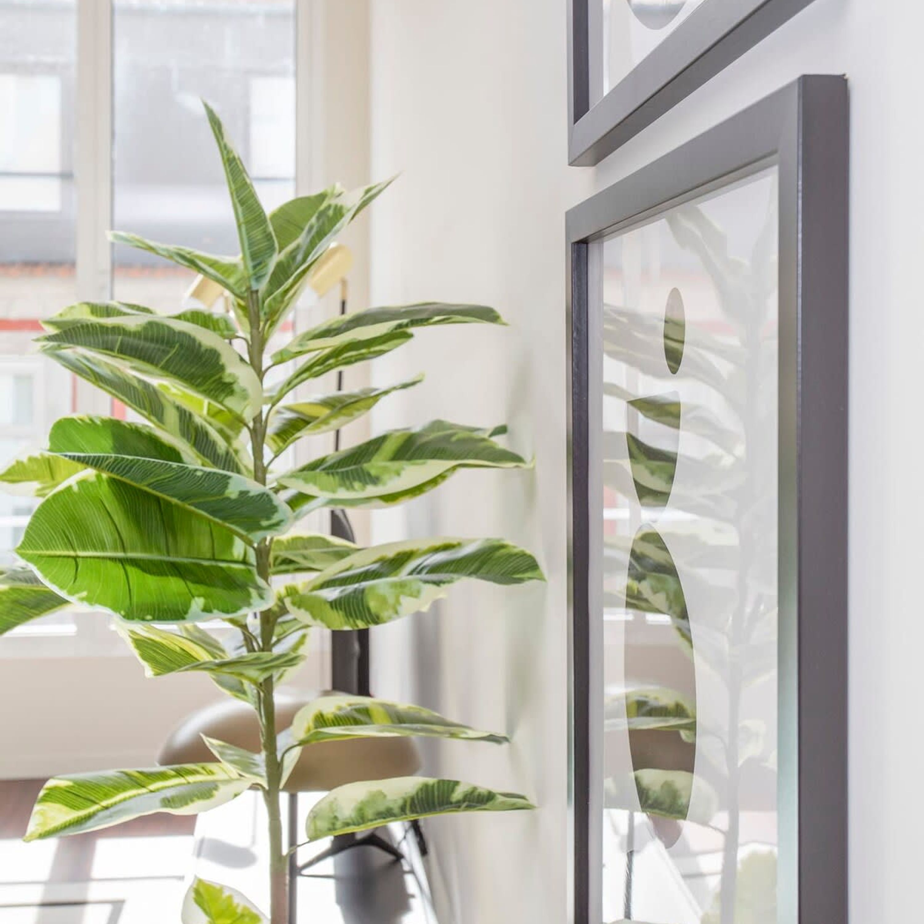Una planta en maceta con hojas variegadas junto a una obra de arte enmarcada con superficie reflectante.