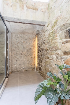 Una habitación con paredes de piedra, suelo de baldosas, puerta de cristal y una planta en maceta.
