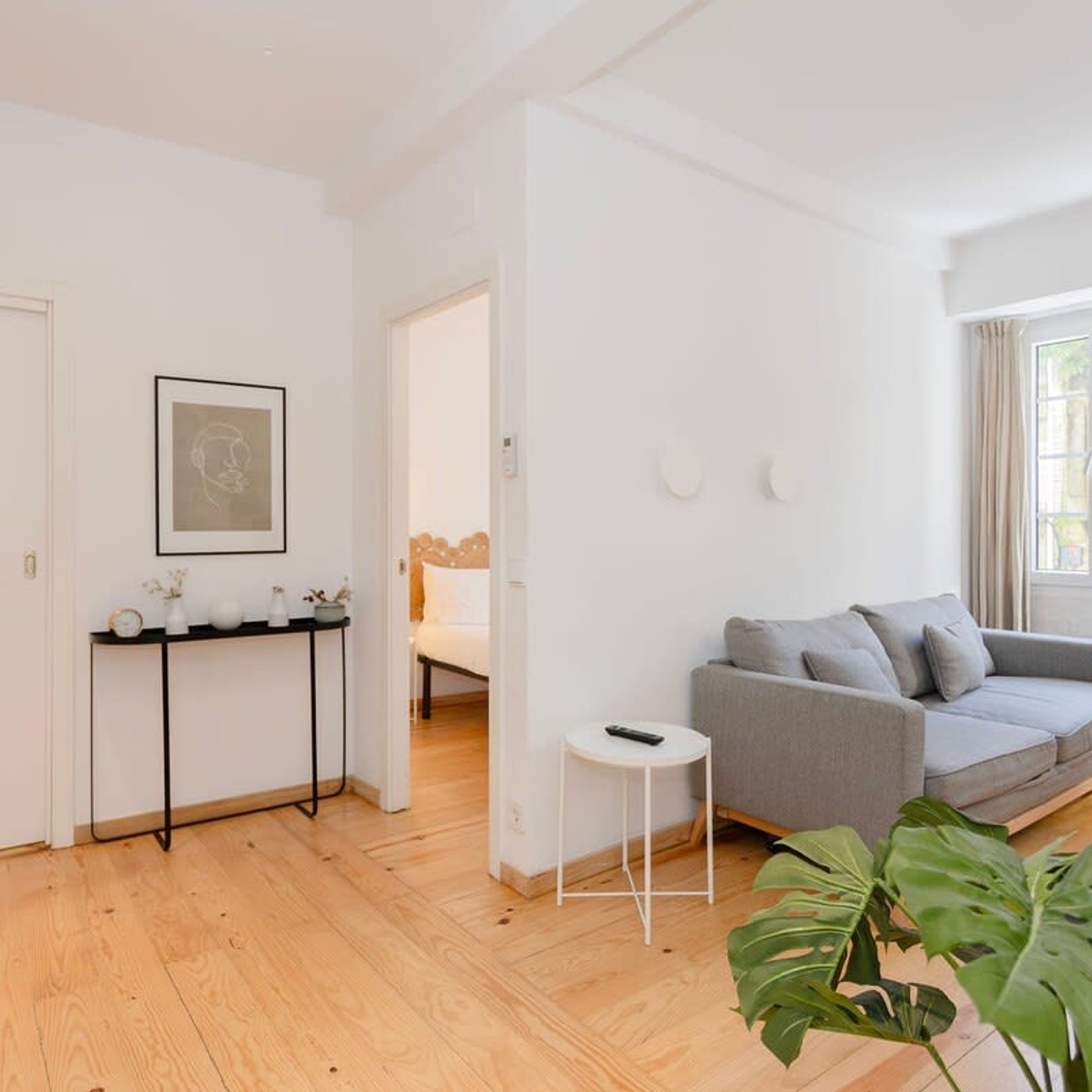 A modern living room with a grey sofa, a small white side table, and a large green plant.
