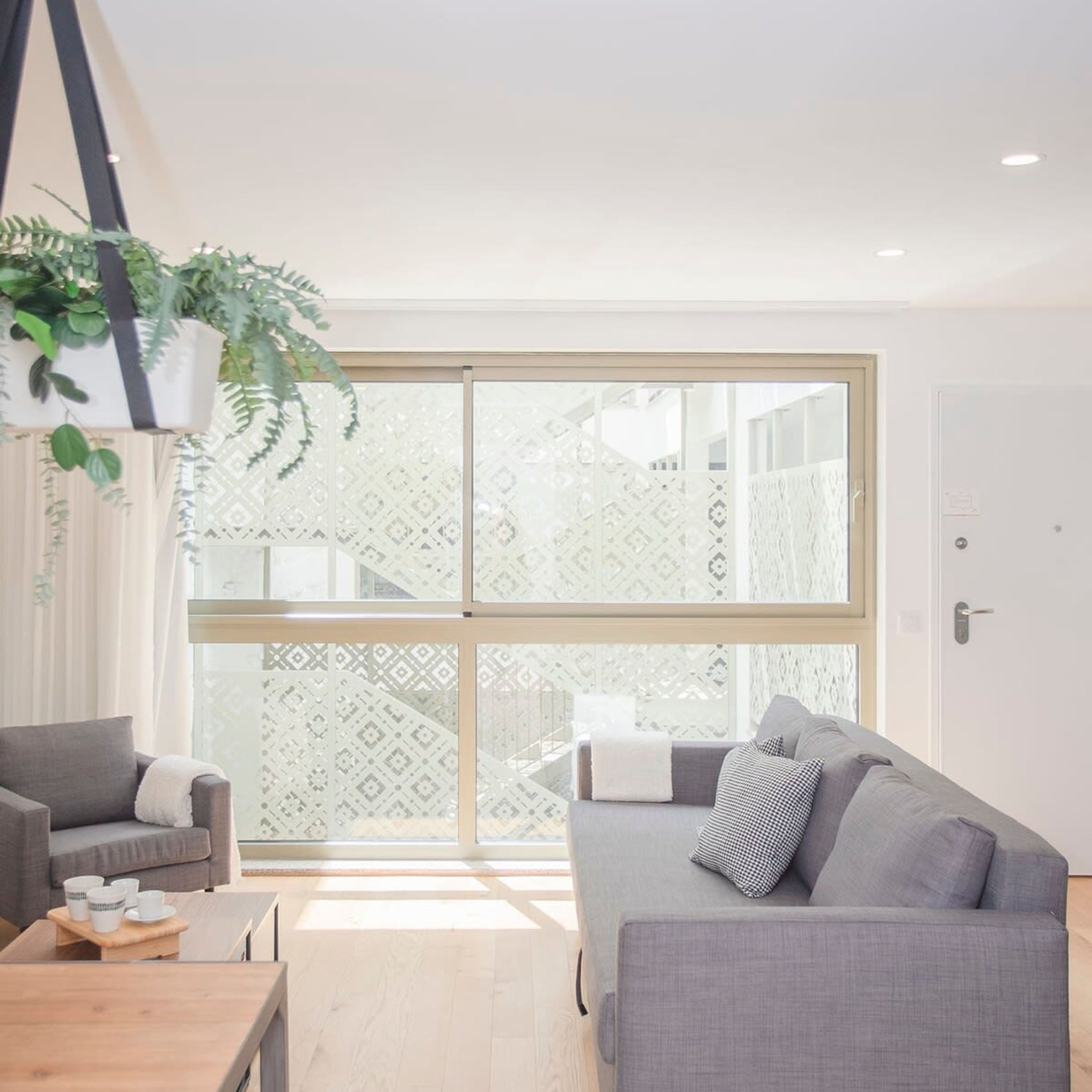 A modern living room with a grey sofa, a small table with cups, and a hanging plant.