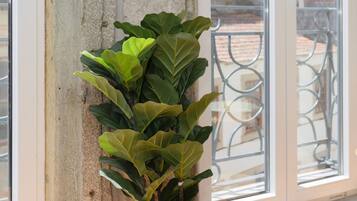 Apartment | 1 bedroom, Internet