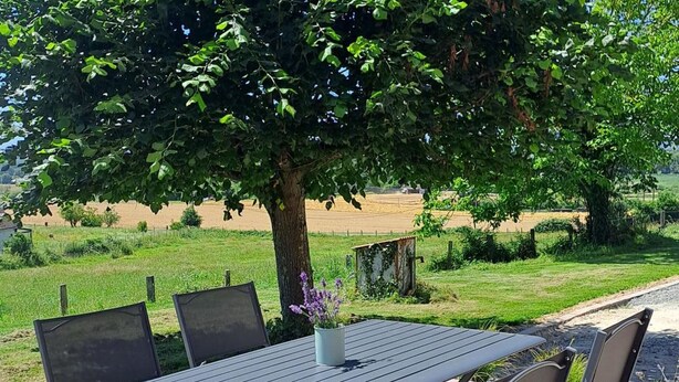 A metal table with four chairs, a vase with purple flowers, and a tree in the background. - Charming Countryside Home with Modern Amenities in Scenic Perche Hills (Melleray)
