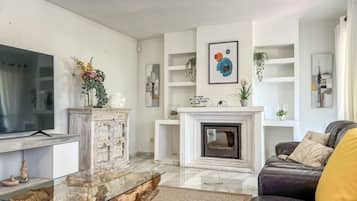 Télévision, cheminée