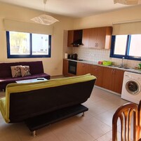 Un espacio habitable compacto con sofá, kitchenette y lavadora.