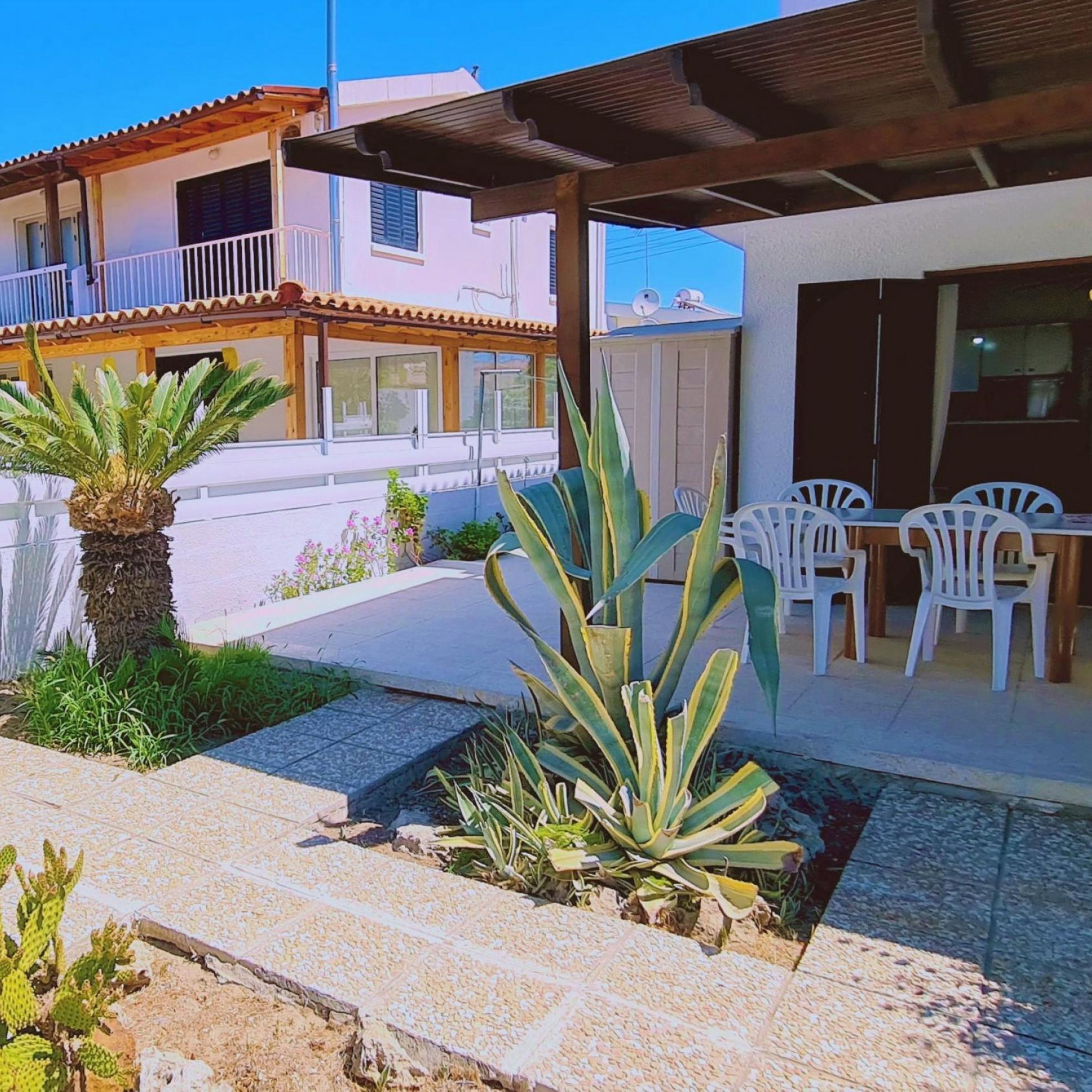 Un patio con una mesa, sillas, una palmera y una planta de agave.