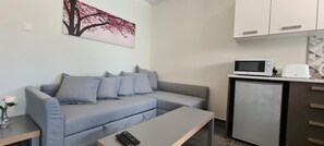 アパートメント | 1 室のベッドル��ーム