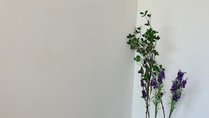 Un pasillo con un cuadro grande enmarcado de un paisaje desértico en la pared, una planta en maceta con flores moradas y un suelo de baldosas oscuras.