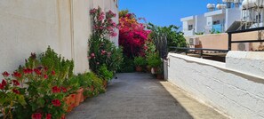 Studio, Smoking - 00 HA - HA DE CO C in Ayia Napa (Ayia Napa)