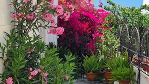 A narrow concrete pathway flanked by potted plants and a building. - 00 HA - HA DE CO C in Ayia Napa (Ayia Napa)