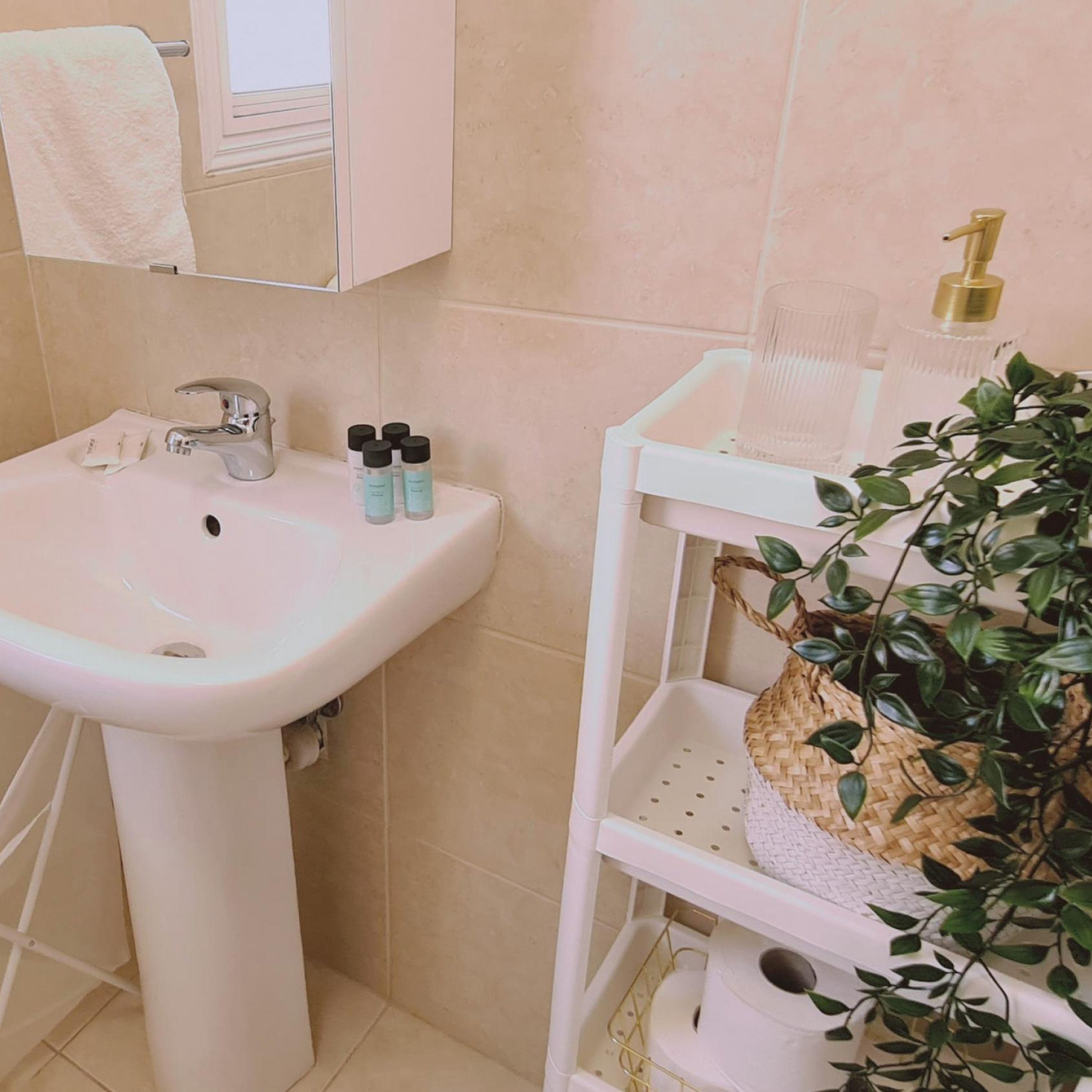Un baño con lavamanos blanco, un espejo y un estante con artículos de aseo y una planta.