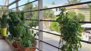 Un balcón con plantas en macetas y una barandilla de metal.