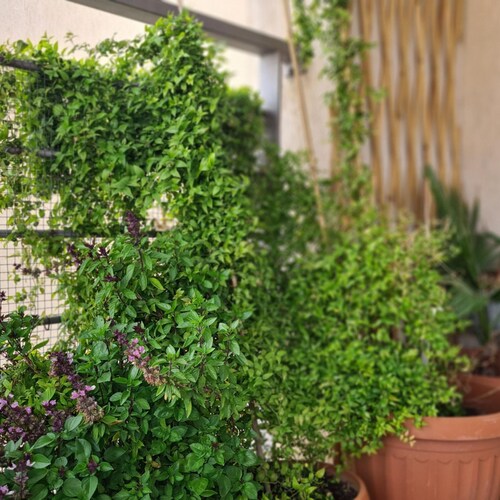 76 EGM - Stay Serenity Apartment