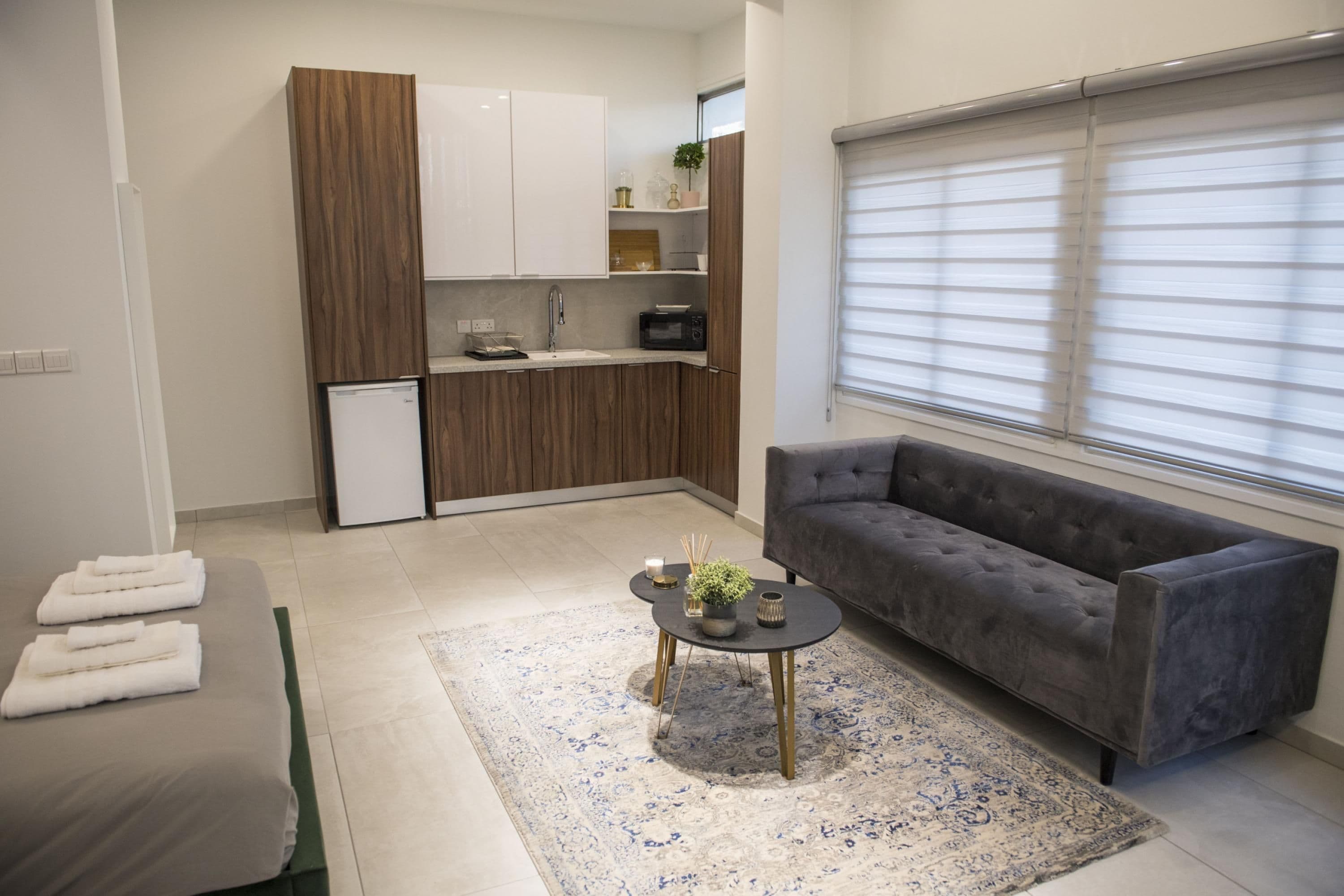 Un espacio habitable compacto con kitchenette, un sofá gris, una mesa de centro y una alfombra estampada.