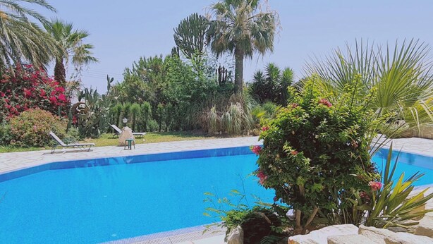 Une piscine entourée de plantes tropicales et de palmiers.