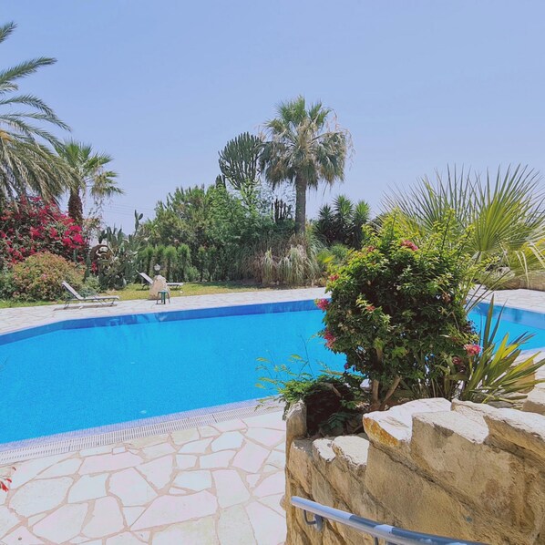 A swimming pool surrounded by tropical plants and palm trees.